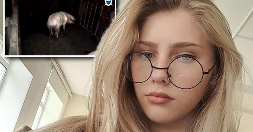 Milena (17) nije stradala slučajno
