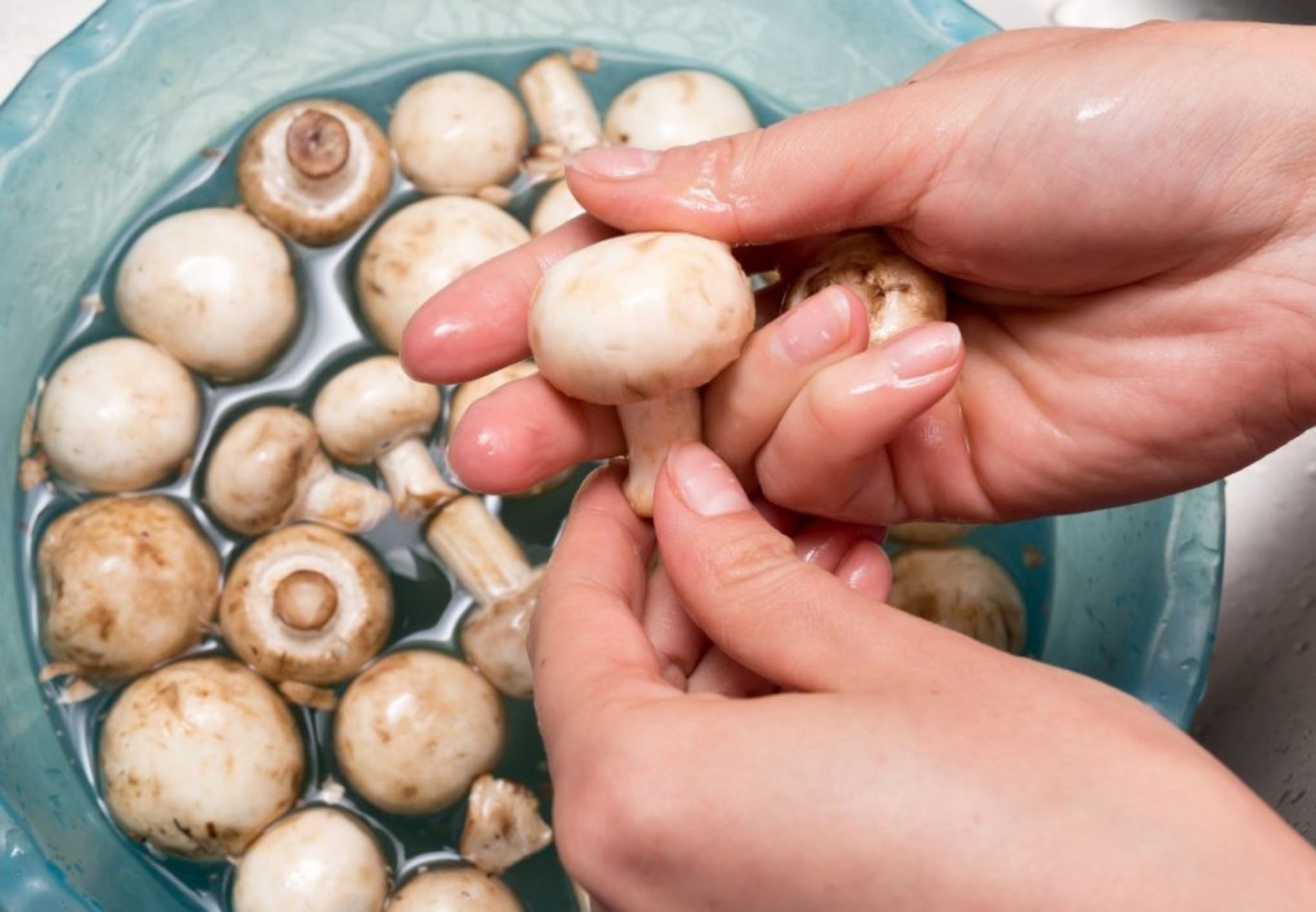 Greška koju svi pravimo s gljivama – i skupo nas košta okusa!