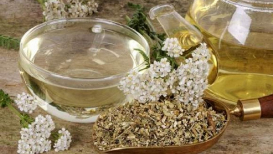 Ljekovita svojstva kunice – čudo prirode u jednoj biljci