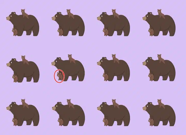 Samo 1% ljudi rješava ovu medvjeđu mozgalicu: Možete li vi pronaći različiti par?