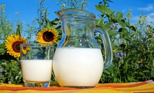 Mlijeko kao lijek: Šta kaže nauka i zašto ga tijelo voli