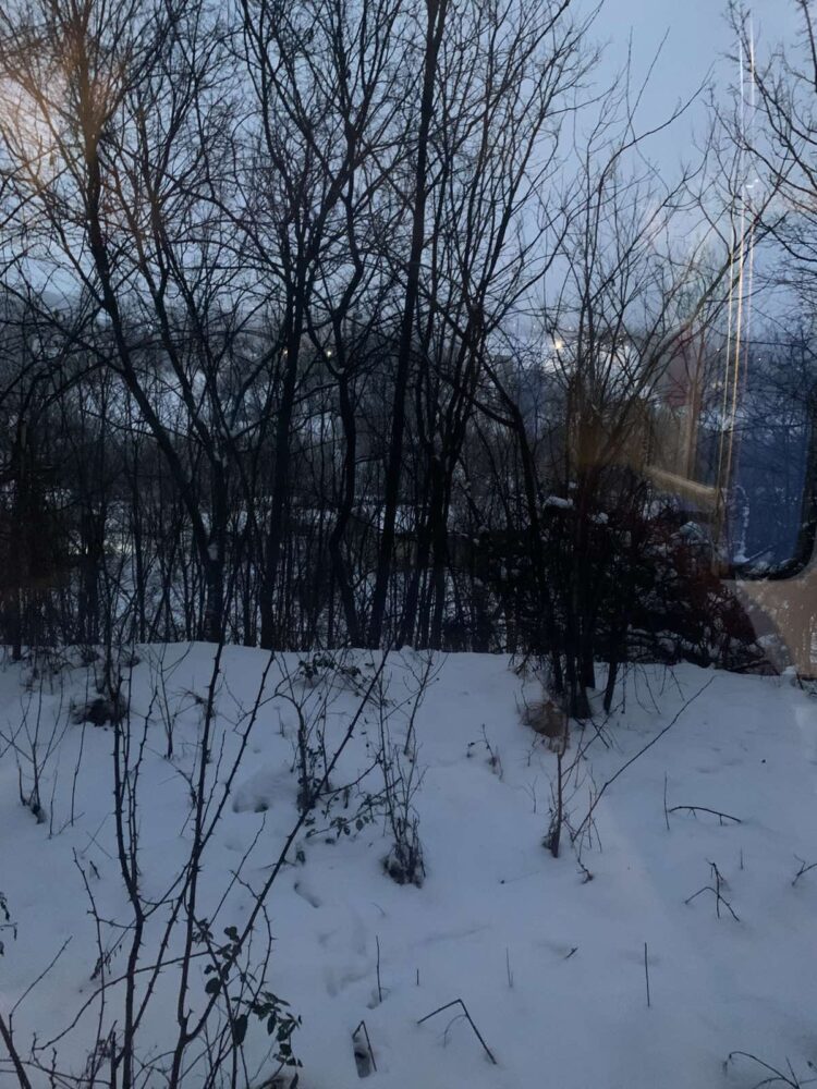 Zarobljeni u vozu bez struje: Hladnoća, zagušljivost i zaključani toaleti, putnici prošli pakao u vozu za Beograd.