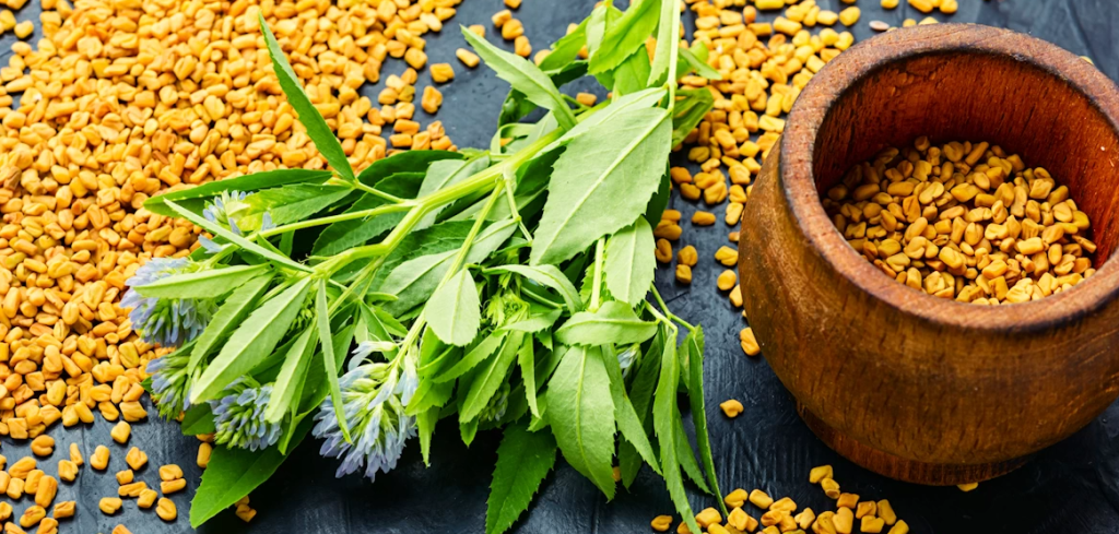 Piskavica od glave do pete: Prirodni lijek za kosu, kožu i organizam