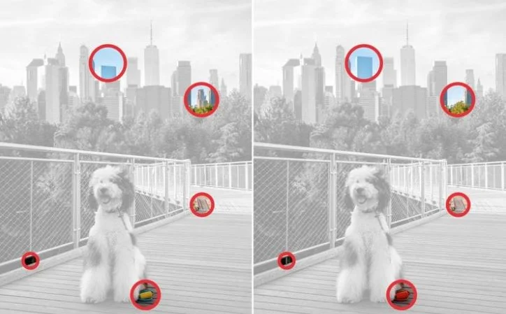 Vidite li ono što drugi ne vide? Testirajte svoje oči i mozak u samo jednoj minuti