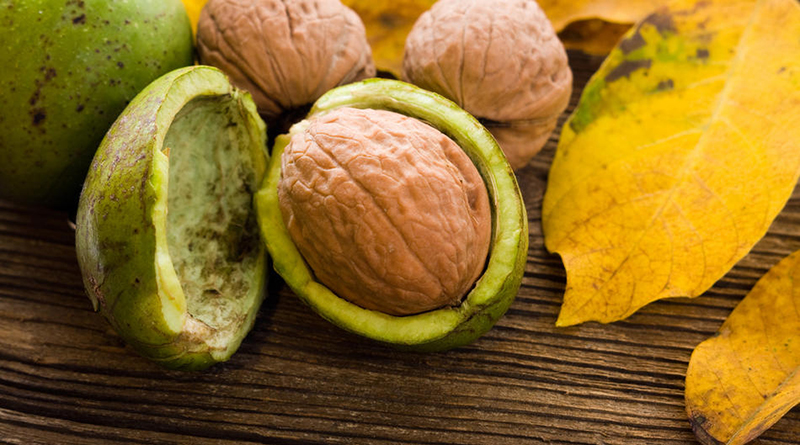 Nevjerovatna moć oraha: Čuva srce, mozak i imunitet – a svi ga imamo kod kuće!