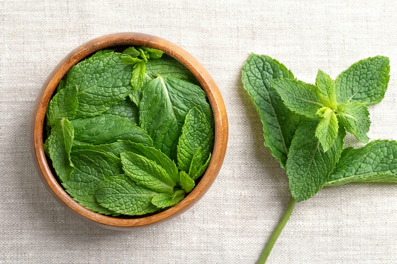 Čudesna moć nane: Kako jedna biljka može poboljšati probavu, smiriti glavobolju i ojačati imunitet