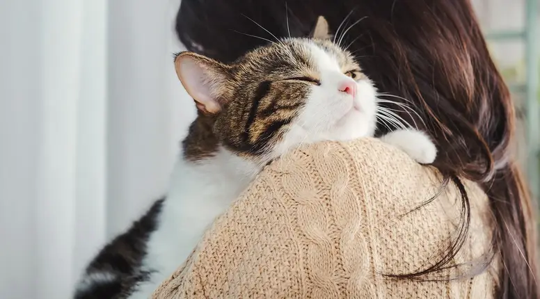 Eho ljubavi i nježnosti: Mačka koja je pobijedila bolest pronašla svoj mir u toplom zagrljaju