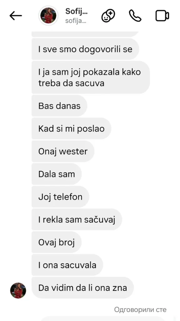 ŠOK PREPISKE SOFIJE JANIĆIJEVIĆ I DANET: „Šta ću za mamin kredit?“ Isplivali detalji koji tresu javnost!
