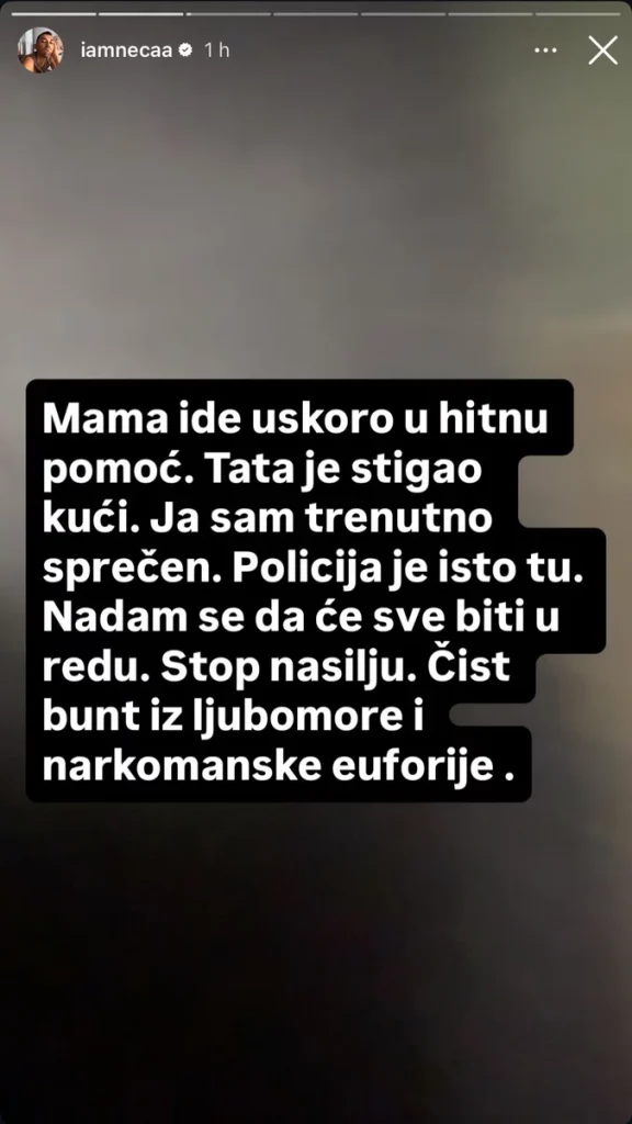 JEZIV NAPAD NA PORODICU NECE LAZIĆA: Majci polomili nogu, pretukli Pecu i napali psa, policija odmah stigla na lice mjesta