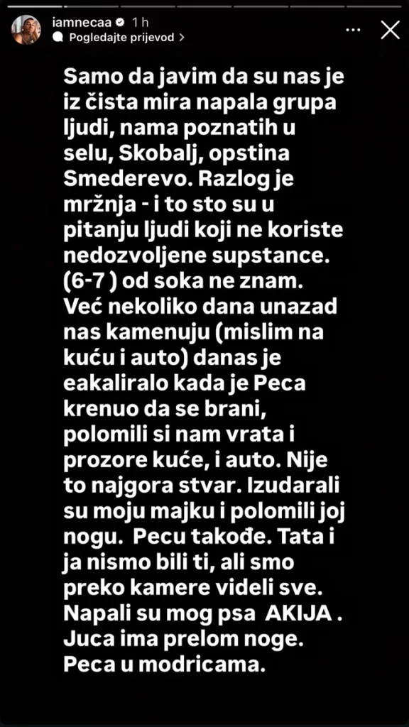 JEZIV NAPAD NA PORODICU NECE LAZIĆA: Majci polomili nogu, pretukli Pecu i napali psa, policija odmah stigla na lice mjesta