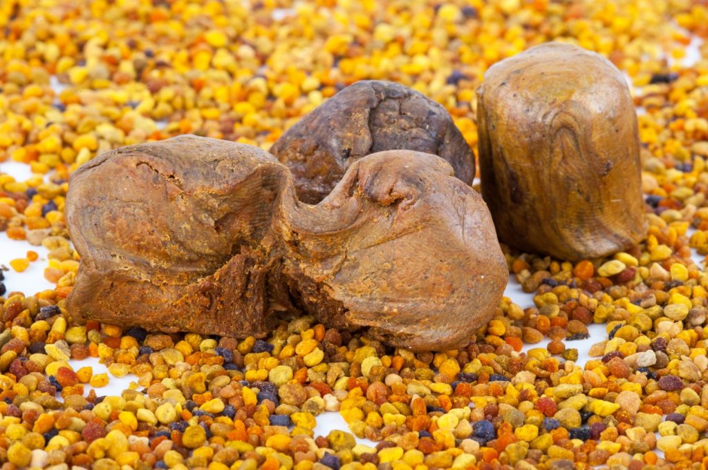 PROPOLIS – PRIRODNA ZAŠTITA IZ KOŠNICE: Zašto ga ljudi posebno koriste tokom jeseni?