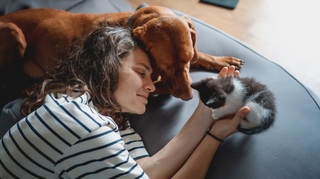 Imate psa ili mačku? Ono što se događa u vašem tijelu dok ih mazite moglo bi vas iznenaditi