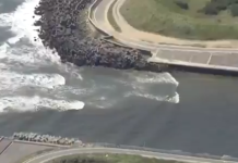 Horor prizori nakon potresa: Kitovi masovno nasukani na obale Japana i Rusije! (VIDEO) Horor prizori nakon potresa: Kitovi masovno nasukani na obale Japana i Rusije! (VIDEO)