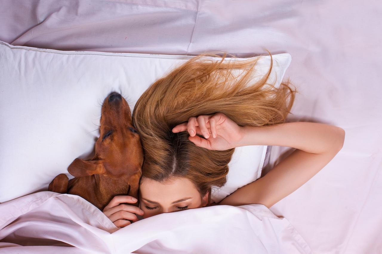 Žene sve češće dijele krevet s psom umjesto s muškarcem: Razlog će vas šokirati! (FOTO) Žene sve češće dijele krevet s psom umjesto s muškarcem: Razlog će vas šokirati! (FOTO)