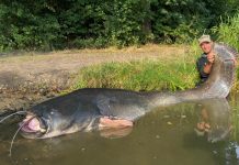 Sjećate li se Legendarnog Jakuba koji je izvukao soma od skoro 3 metra? Tek je sad je oborio rekord – prizor ostavlja bez daha! Sjećate li se Legendarnog Jakuba koji je izvukao soma od skoro 3 metra? Tek je sad je oborio rekord – prizor ostavlja bez daha!