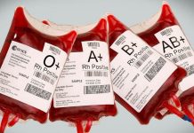 Krvna grupa i zdravlje: ko živi najduže, a ko je osjetljiviji na bolesti? Krvna grupa i zdravlje: ko živi najduže, a ko je osjetljiviji na bolesti?