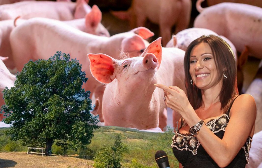 Ceca i stari hrast: Meštani Zuca ustali protiv farme svinja!