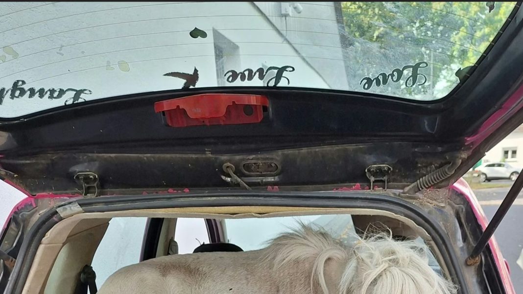 Šok u Njemačkoj Policija zaustavila auto i pronašla neočekivanog „putnika“ u gepeku!