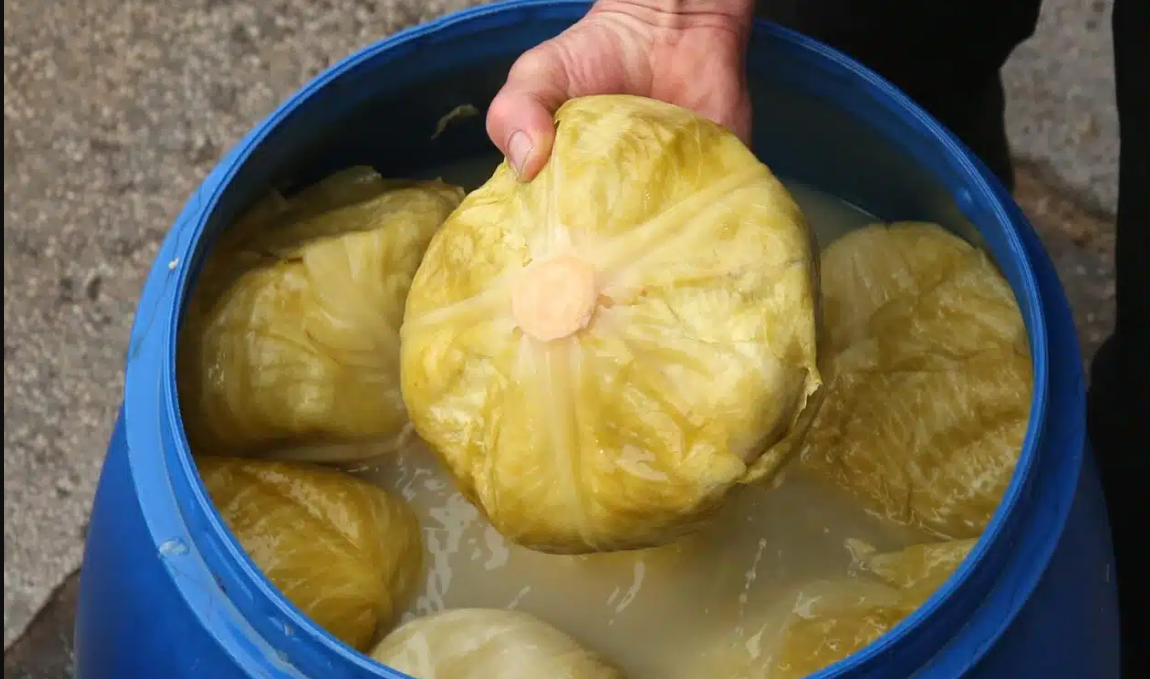 Zdravlje u buretu! Evo zašto je kiseli kupus pravi zimski lijek za cijeli organizam Zdravlje u buretu! Evo zašto je kiseli kupus pravi zimski lijek za cijeli organizam