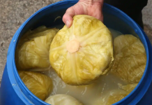 Zdravlje u buretu! Evo zašto je kiseli kupus pravi zimski lijek za cijeli organizam Zdravlje u buretu! Evo zašto je kiseli kupus pravi zimski lijek za cijeli organizam