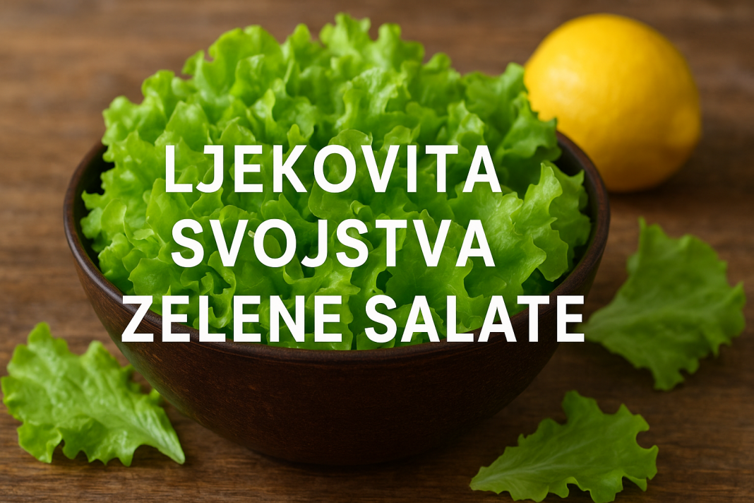 LJEKOVITA SVOJSTVA ZELENE SALATE: Prirodni izvor zdravlja i mladosti na vašem tanjiru