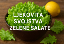 LJEKOVITA SVOJSTVA ZELENE SALATE: Prirodni izvor zdravlja i mladosti na vašem tanjiru LJEKOVITA SVOJSTVA ZELENE SALATE: Prirodni izvor zdravlja i mladosti na vašem tanjiru