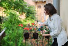 Prvi mrazevi stižu – evo kako u jesen sačuvati svoje balkonske biljke Prvi mrazevi stižu – evo kako u jesen sačuvati svoje balkonske biljke