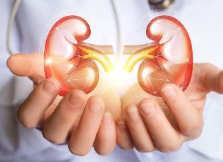 Kako sačuvati zdravlje bubrega: Tihi organi koji čuvaju naš život Kako sačuvati zdravlje bubrega: Tihi organi koji čuvaju naš život