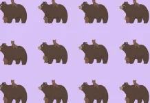 Samo 1% ljudi rješava ovu medvjeđu mozgalicu: Možete li vi pronaći različiti par? Samo 1% ljudi rješava ovu medvjeđu mozgalicu: Možete li vi pronaći različiti par?