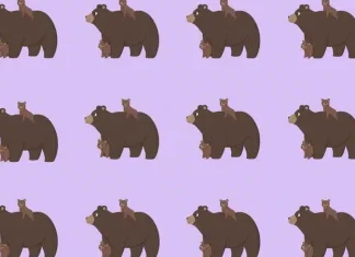 Samo 1% ljudi rješava ovu medvjeđu mozgalicu: Možete li vi pronaći različiti par? Samo 1% ljudi rješava ovu medvjeđu mozgalicu: Možete li vi pronaći različiti par?