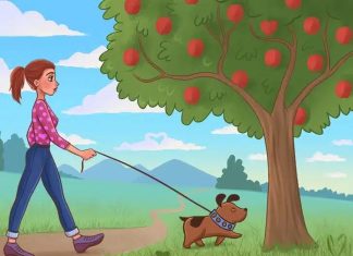 Test za genijalce: Samo 1% ljudi vidi sva srca na slici! Da li ste među njima? Test za genijalce: Samo 1% ljudi vidi sva srca na slici! Da li ste među njima?