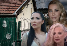 Drama bez kraja: Porodica Ahmić razara odnose u Eliti, a Grofica, Sita i Aneli prednjače – potvrda koja trese javnost! Drama bez kraja: Porodica Ahmić razara odnose u Eliti, a Grofica, Sita i Aneli prednjače – potvrda koja trese javnost!