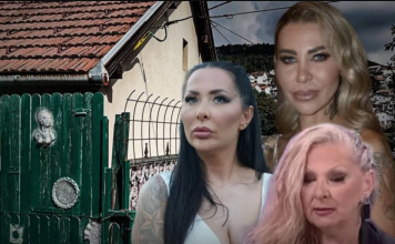 Drama bez kraja: Porodica Ahmić razara odnose u Eliti, a Grofica, Sita i Aneli prednjače – potvrda koja trese javnost! Drama bez kraja: Porodica Ahmić razara odnose u Eliti, a Grofica, Sita i Aneli prednjače – potvrda koja trese javnost!