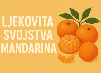 Ljekovita svojstva mandarina – citrus koji liječi i jača tijelo Ljekovita svojstva mandarina – citrus koji liječi i jača tijelo