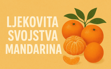 Ljekovita svojstva mandarina – citrus koji liječi i jača tijelo Ljekovita svojstva mandarina – citrus koji liječi i jača tijelo