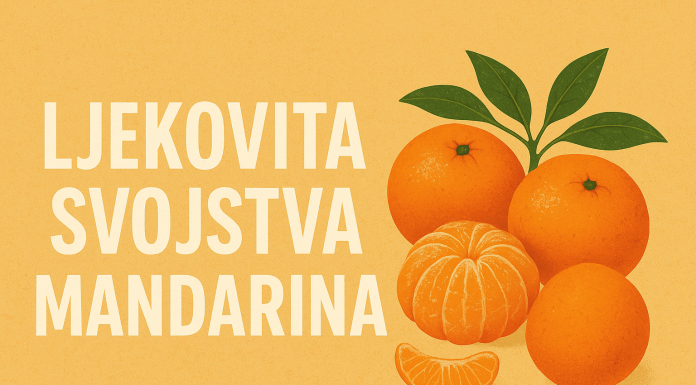 Ljekovita svojstva mandarina – citrus koji liječi i jača tijelo Ljekovita svojstva mandarina – citrus koji liječi i jača tijelo
