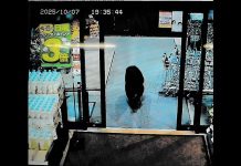 Nezapamćeno u Japanu: Medvjedi napadaju ljude, preko 200 povrijeđenih – dronovi i vojska u akciji Nezapamćeno u Japanu: Medvjedi napadaju ljude, preko 200 povrijeđenih – dronovi i vojska u akciji