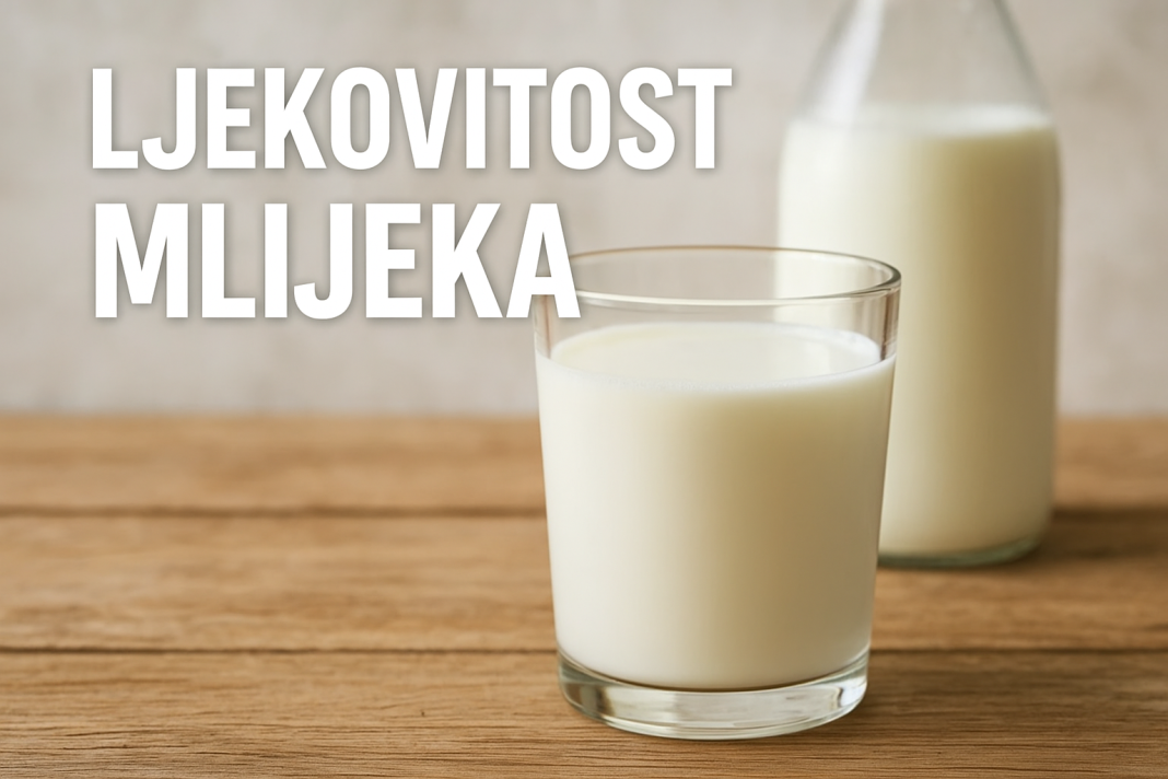 Mlijeko kao lijek: Šta kaže nauka i zašto ga tijelo voli Mlijeko kao lijek: Šta kaže nauka i zašto ga tijelo voli