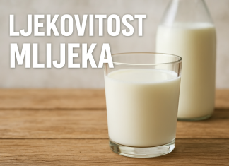 Mlijeko kao lijek: Šta kaže nauka i zašto ga tijelo voli Mlijeko kao lijek: Šta kaže nauka i zašto ga tijelo voli