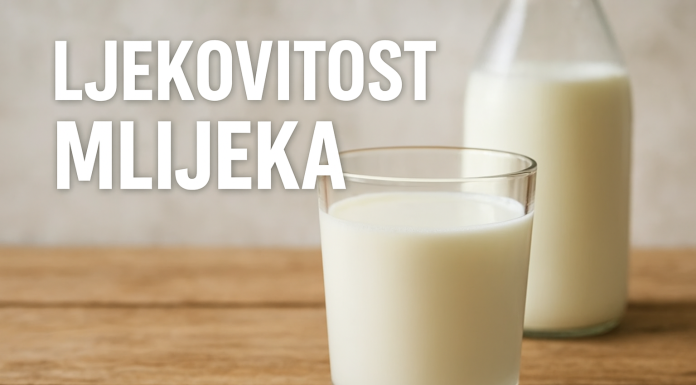 Mlijeko kao lijek: Šta kaže nauka i zašto ga tijelo voli Mlijeko kao lijek: Šta kaže nauka i zašto ga tijelo voli