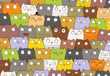 Jesenja mozgalica koja je zaludila Balkan: Gdje se krije mačka među mudrim sovama? „Jesenja mozgalica koja je zaludila Balkan: Gdje se krije mačka među mudrim sovama?