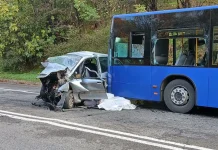 Jutarnja tragedija kod Obrenovca: Poginuo vozač automobila, osmoro povrijeđeno! Jutarnja tragedija kod Obrenovca: Poginuo vozač automobila, osmoro povrijeđeno!