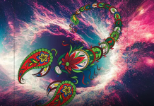 ŠKORPIJA ULAZI U PERIOD TRANSFORMACIJE: Jedna odluka mijenja sve! ŠKORPIJA ULAZI U PERIOD TRANSFORMACIJE: Jedna odluka mijenja sve!