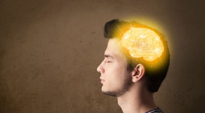 7 navika koje polako uništavaju inteligenciju – psiholozi upozoravaju! 7 navika koje polako uništavaju inteligenciju – psiholozi upozoravaju!