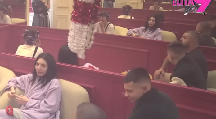 Asmin preokrenuo priču: Brani Groficu i optužuje Situ za teror! Asmin preokrenuo priču: Brani Groficu i optužuje Situ za teror!