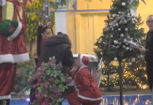 Najemotivniji trenutak “Elite”: Matora zaprosila Draganu pred svima Najemotivniji trenutak “Elite”: Matora zaprosila Draganu pred svima