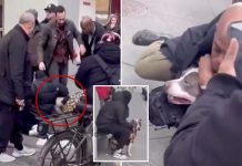 Horor u New Yorku: Pit bull napao jednogodišnju bebu nasred ulice Horor u New Yorku: Pit bull napao jednogodišnju bebu nasred ulice