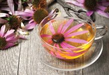 Sedam biljaka koje prirodno jačaju imunitet i štite od virusa Sedam biljaka koje prirodno jačaju imunitet i štite od virusa