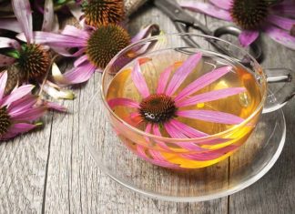 Sedam biljaka koje prirodno jačaju imunitet i štite od virusa Sedam biljaka koje prirodno jačaju imunitet i štite od virusa