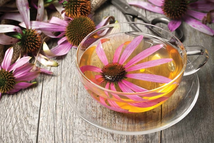 Sedam biljaka koje prirodno jačaju imunitet i štite od virusa 4 Sedam biljaka koje prirodno jačaju imunitet i štite od virusa